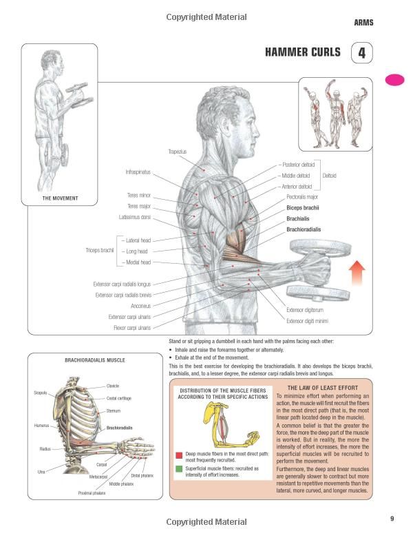 strength training anatomy third edition